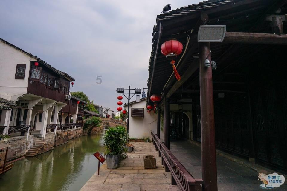 小孔雀逃脱